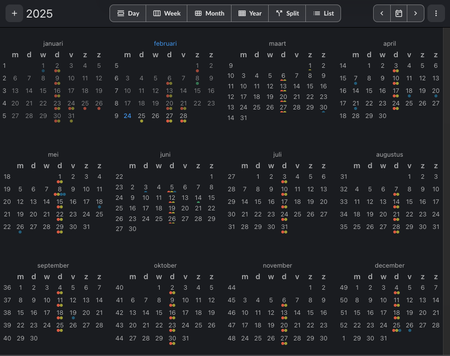 Calendar year view for bigger picten